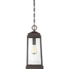 Quoizel Lighting Ravenel 1 - Light Pendant in  Western Bronze - 4 of 4