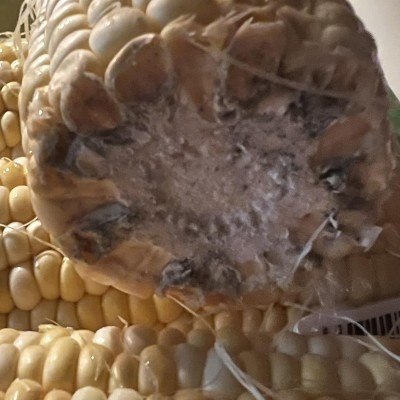 Guest review image 3 of 3, zoom in