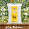Citric Acid Powder, Food Grade (Limbu Ka Ful) - 14oz (400g) - Rani Brand Authentic Indian Products - 4 of 4