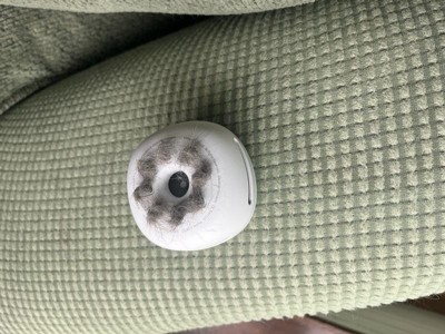 Guest review image 2 of 2, zoom in
