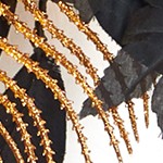 gold+gray