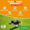 Beloved Pets Flea & Tick Support + Complex Multivitamin Soft Chews for Skin & Coat Supplement for Dogs, 10 Oz - 1 Pack - 2 of 4