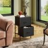 Nightstand with 2 Drawers, Bedside Furniture for Bedroom, College Dorm, End Table with Fabric Bins, Dormitory - 2 of 4