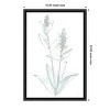 Amanti Art Lambs Ear Sage IV Bleached by Chris Paschke Framed Canvas Wall Art - 4 of 4