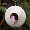 Good Directions Steel Verde Multi-Perch Fly-Thru Novelty Bird Feeder 10" - 3 of 4