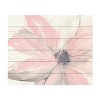 Trademark Fine Art - Chris Paschke 'Blush Clematis I' - 2 of 4