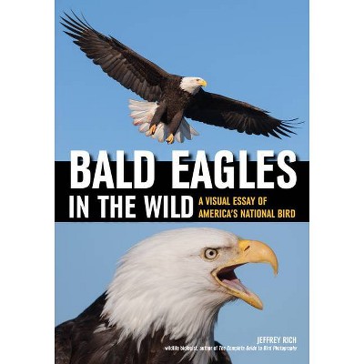 Bald Eagles in the Wild - by  Jeffrey Rich (Paperback)