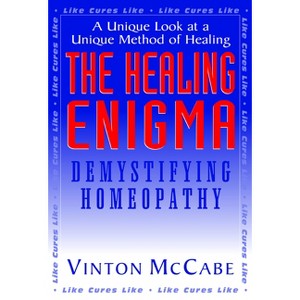 The Healing Enigma - by  Vinton McCabe (Paperback) - 1 of 1