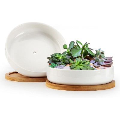 Succulent Pots,6 Inch Succulent Planters with Drainage and Tray,White Ceramic Planters for Indoor Plants,Round Shallow Flower Plant Pots,Pack of 2