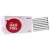 Pro Basic Hair Pins - Black by Marianna for Women - 1 lb Hair Clips - 3 of 4