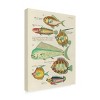 Trademark Fine Art - Louis Renard  Renard Tropical Fish II Canvas Art - 4 of 4