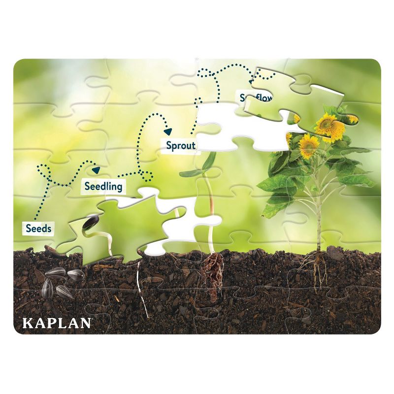 Kaplan Early Learning STEM Learning Sunflower Life Cycle Floor Puzzle from Seed to Sunflower - 24 Pieces, 2 of 4