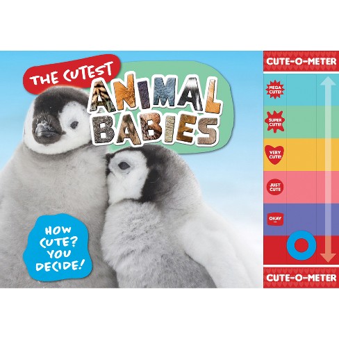 The Cutest Animal Babies - By Welbeck Publishing (hardcover) : Target