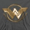 Boys’ Wonder Woman Movie Lasso Logo Hooded Sweatshirt - 2 of 4