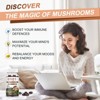 Alliwise Mushroom Supplement Gummies for Mood and Focus, Vegan, Non-GMO, 60 CT - 4 of 4