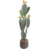 Acekool 42" Saguaro Cactus - Lifelike Indoor/Outdoor Desert Decor - 2 of 4