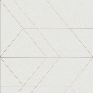 Balance White and Rose Gold Geometric Paste the Wall Wallpaper - 1 of 4