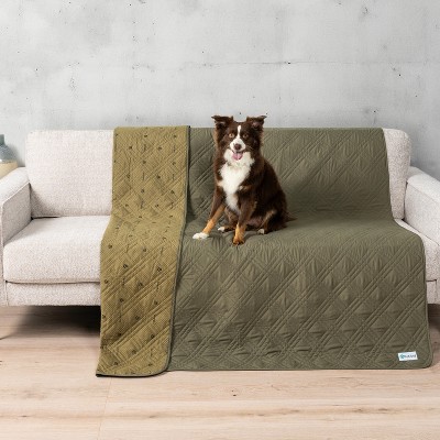 Pet couch blanket best sale