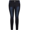 Women's Plus Size Asha Fit Short Skinny Jean - denim | CITY CHIC - 3 of 4