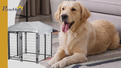 Large Black Steel Outdoor Dog Kennel with UV-Resistant Roof