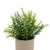 Unique Bargains Artificial Plants Plastic Green 3.15"x3.15"x8.27" 1 Pc - 4 of 4