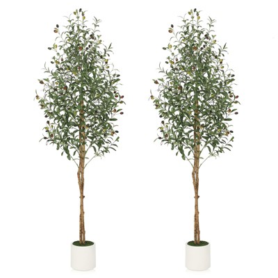 Garvee 5/6/7ft Artificial Olive Trees - Faux Silk Plants in White Planters with Wood Trunk & Moss, for Home/Office Decor, 1/2 PCS