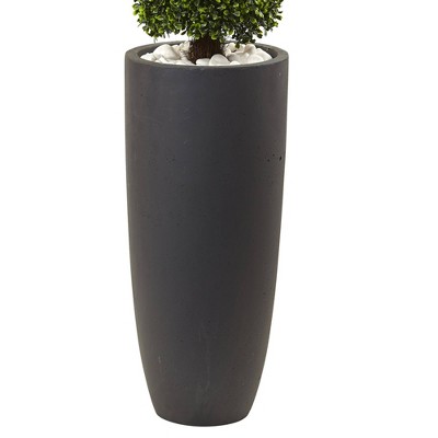 50" Green Boxwood Topiary in Gray Plastic Planter