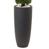 50" Boxwood Topiary with Gray Cylindrical Planter - Nearly Natural: UV Resistant, Indoor & Outdoor Decor - 3 of 3