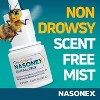 Nasonex Children's Allergy & Congestion 24 hour Relief  Nasal Spray, 0.25 Oz - 4 of 4
