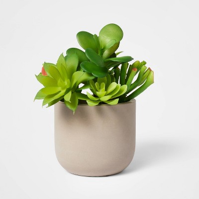 5" Potted Succulent - Threshold™