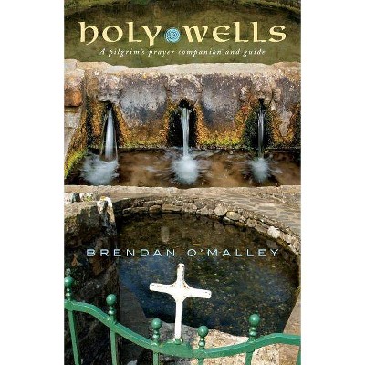 Holy Wells - by  Brendan O'Malley (Paperback)