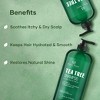 Botanic Hearth Tea Tree Shampoo for Itchy and Dry Scalp - 16 fl oz - 4 of 4