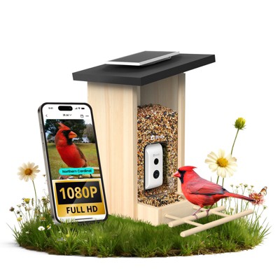 Birdfy Smart Bird Feeder with Camera, Bird Watching Camera with Solar Panel, AI Identify 6000+ Species