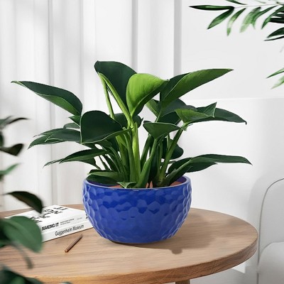 Angel Sar 3 Pack Glossy Blue Ceramic Pots for Plants with Beautiful Texture, Modern Flower Pots for Indoor Plants Filled with Drainage Holes