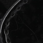 patent/black