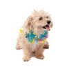 Midlee Blue Birthday Pom Pom Dog Collar - 3 of 4