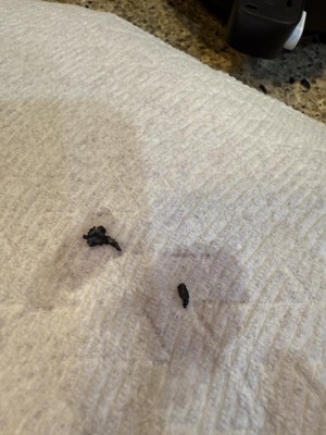 Guest review image 2 of 2, zoom in