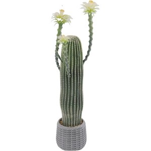 Artificial Cactus Potted Plant Faux Desert Cacti Fake Big Cactus Plant with Planter Realistic Faux for Home Garden Office - 1 of 4