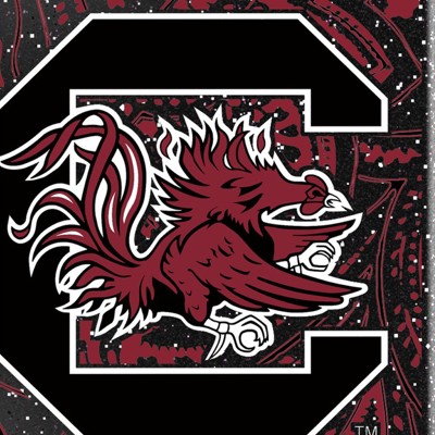 south carolina gamecocks