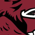 south carolina gamecocks