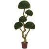 Nearly Natural 5-ft Five Head Boxwood Artificial Tree, UV Resistant (Indoor/Outdoor) - 2 of 3