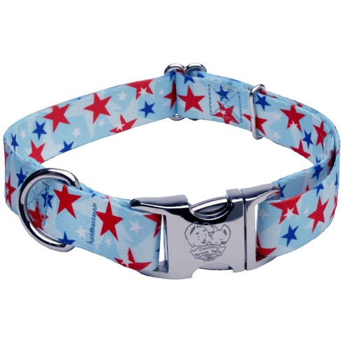 Abercrombie 1 Inch Dog Collar