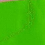 green/navy blue