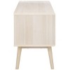 Aphra 2 Door 2 Shelf Media Stand - MED9624 - Safavieh - 4 of 4