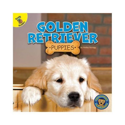 Golden Retriever Puppies Top Puppies By Hailey Scragg Paperback Target