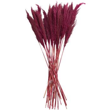35 In. x 2 In. Dried Plant Pampas Natural Foliage with Long Stems Pink - Olivia & May