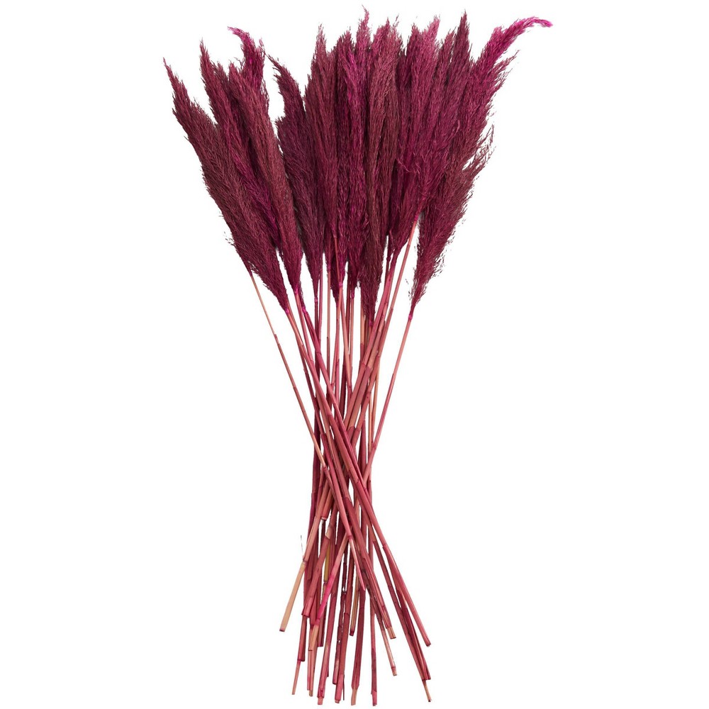 Photos - Coffee Table 35 In. x 2 In. Dried Plant Pampas Natural Foliage with Long Stems Pink - O