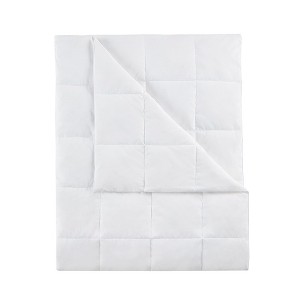 Gracie Mills Roth All-Seasons Blanket with Goose Feather and Down filling - 1 of 4