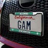 Binghamton University Alumni Logo Full Size Standard License Plate Metal Frame - 3 of 4