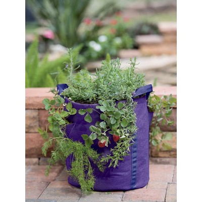 Gardener’s Best® Strawberry and Herb Grow Bag - Gardener's Supply Company